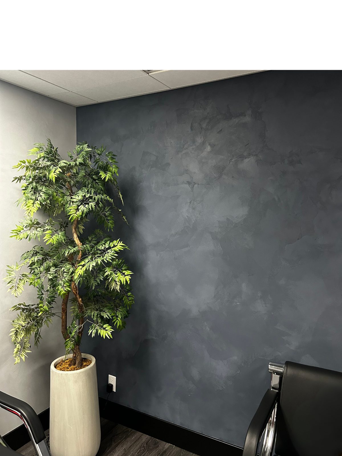Venetian Plaster / Stucco